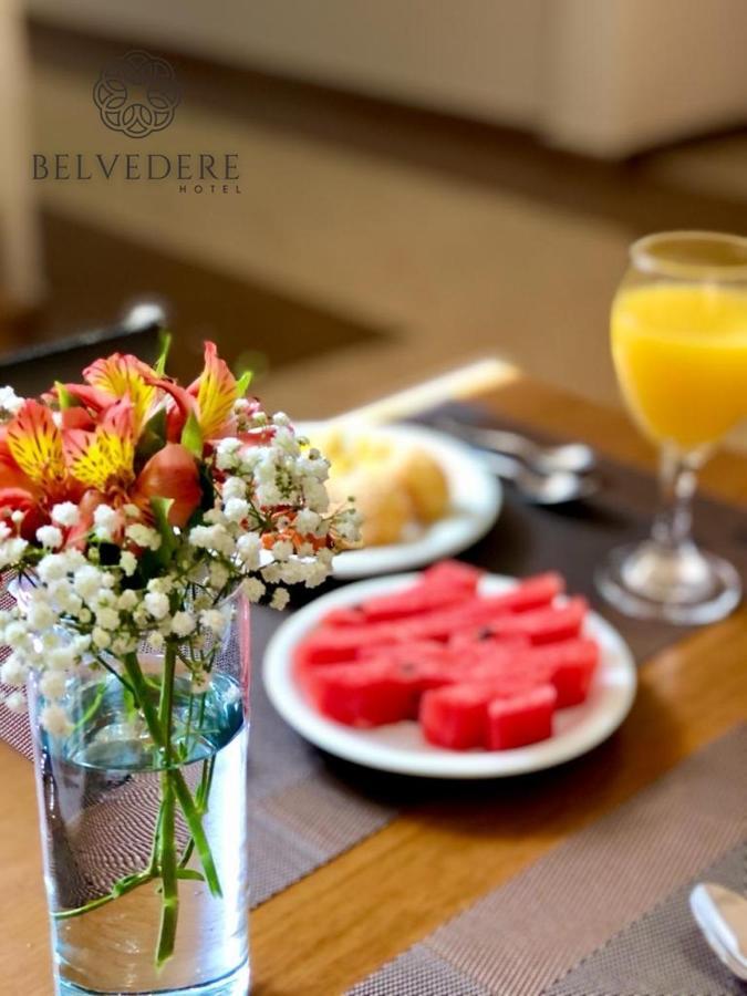 Hotel Belvedere Araras - Facil Acesso Hospital Sao Leopoldo E Faculdades Kültér fotó